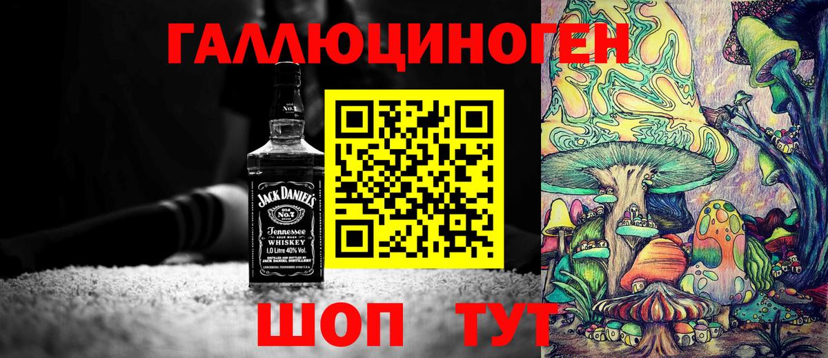 Чебоксары  Псилоцибиновые грибы мухоморы  Вход с VPN 
